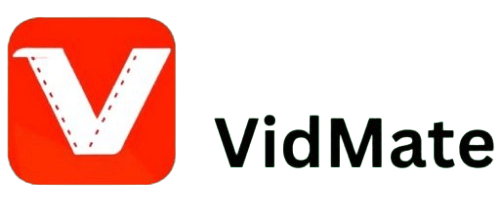 vidnateoffical website logo